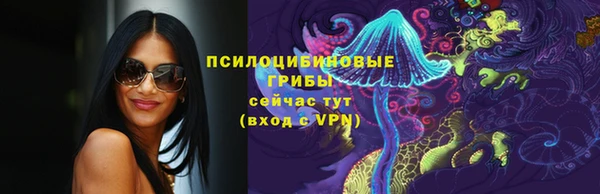 spice Няндома