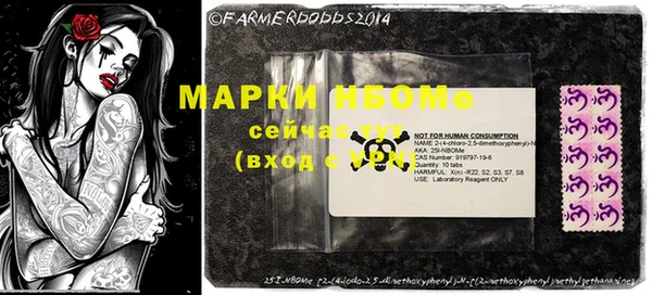 a pvp Новозыбков