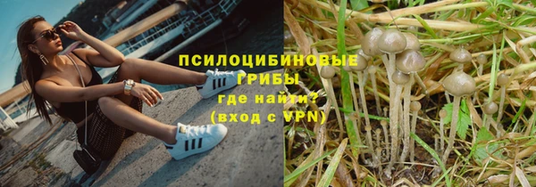 spice Няндома