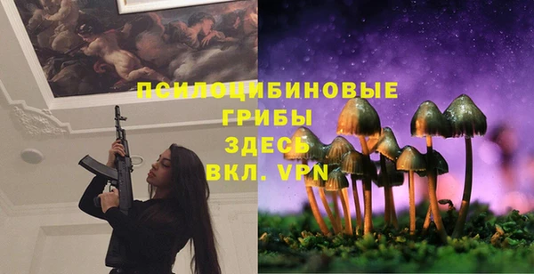 spice Няндома